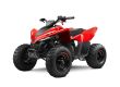 CFMOTO CFORCE 110 rot