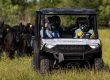 Polaris Ranger Crew 1000 Eps 2023 Viehzucht