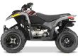 Polaris Phoenix 200 Atv Kinder Familie