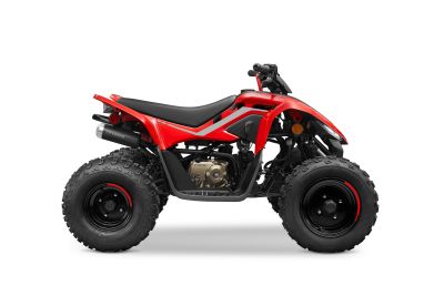 CFMOTO CFORCE 110 rot