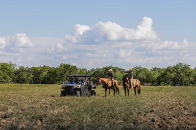 Polaris Ranger Crew 1000 Robust