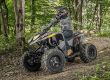 Polaris Atv Phoenix Kind