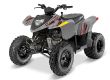 Polaris Phoenix 200 Quad Kinder Familie