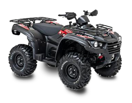 blade_550_efi_4x4_irs_schwarz