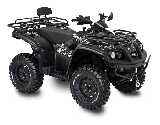 blade_550_efi_se_4x4_irs_schwarz
