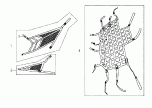f22_431063454