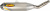 Schalldämpfer PC4 CRF450R/X