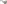 fmf/18201946 01