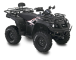 blade_550_4x4_irs_schwarz