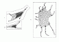 f22_431063454
