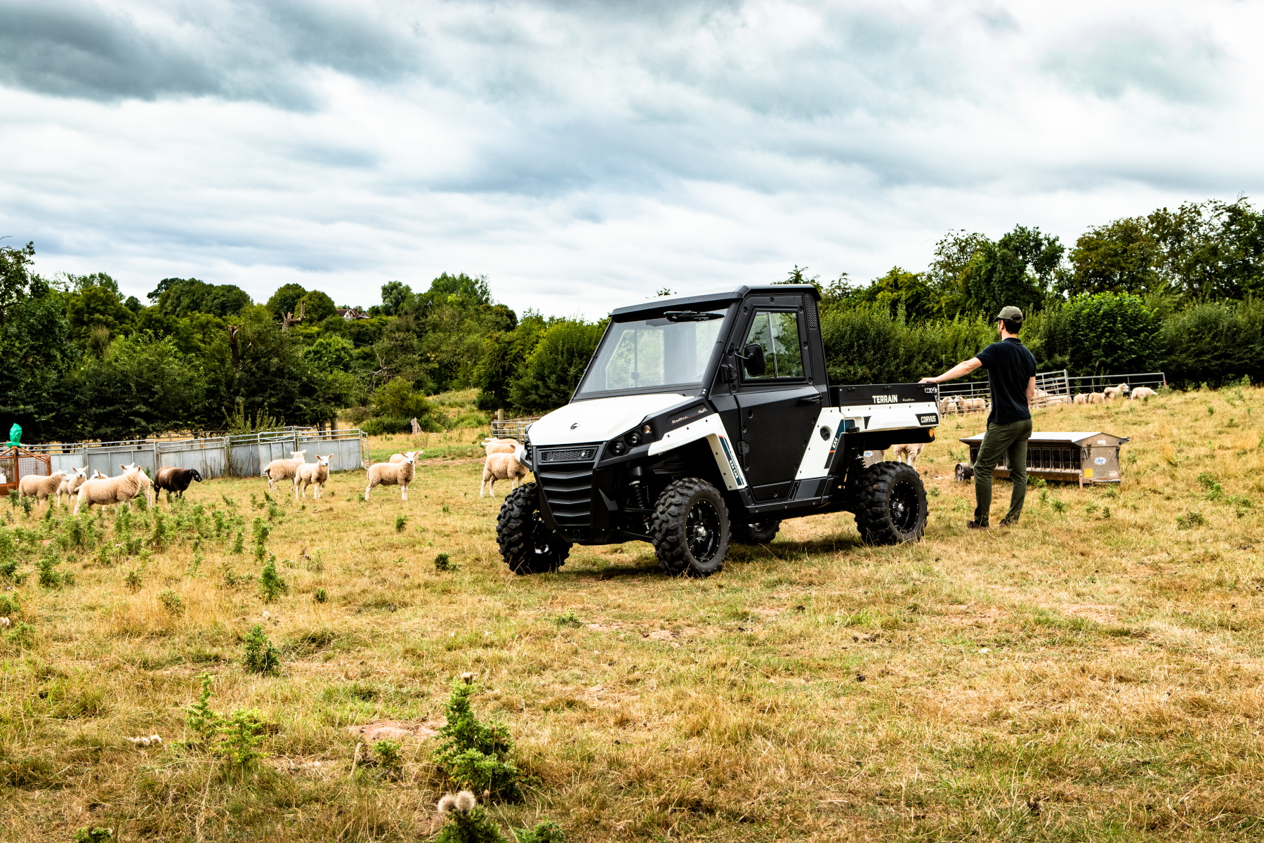 Corvus Terrain Ex 4 Viehzucht 