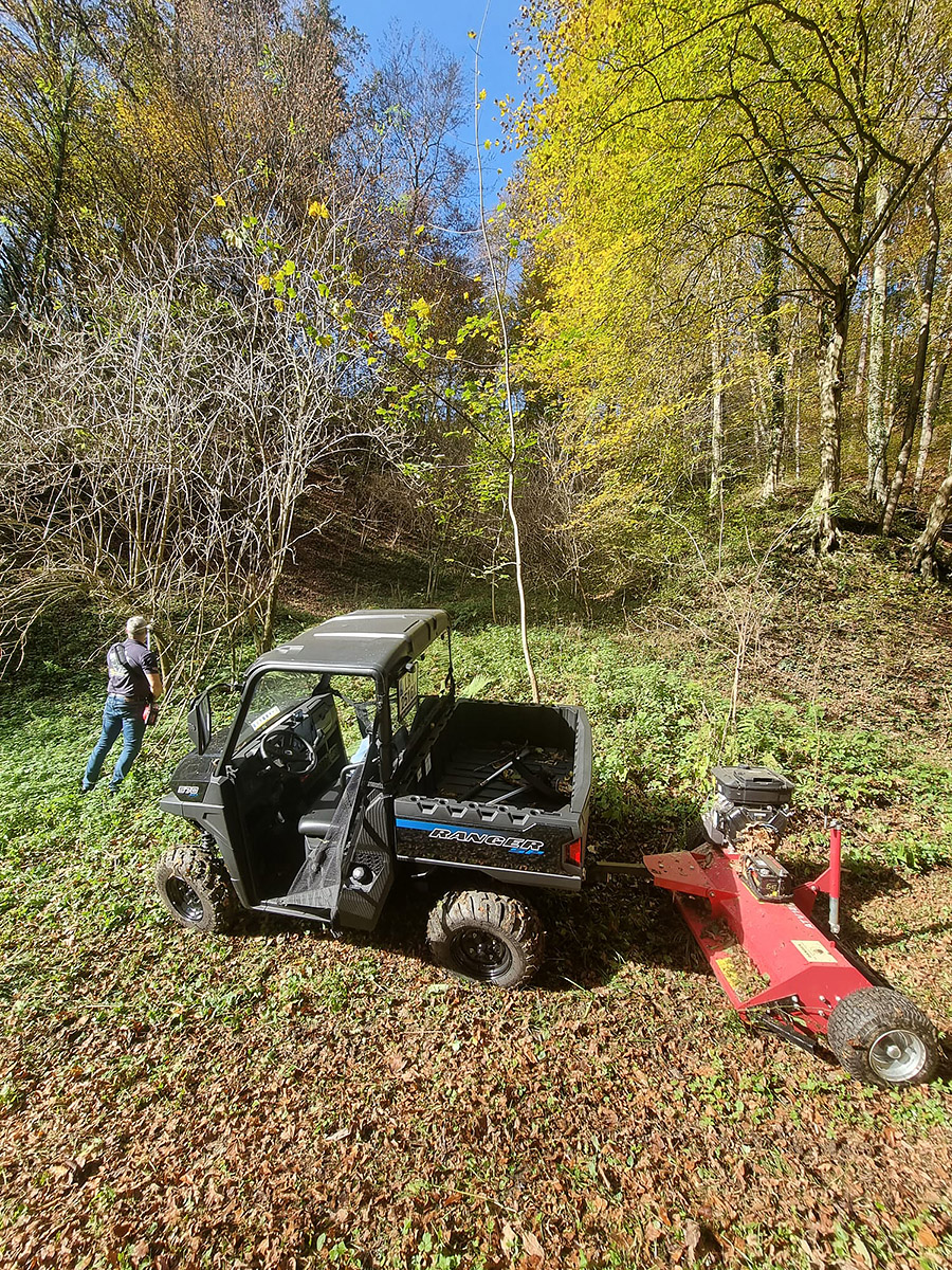 Jagd Forstwirtschaft Baumschnitt