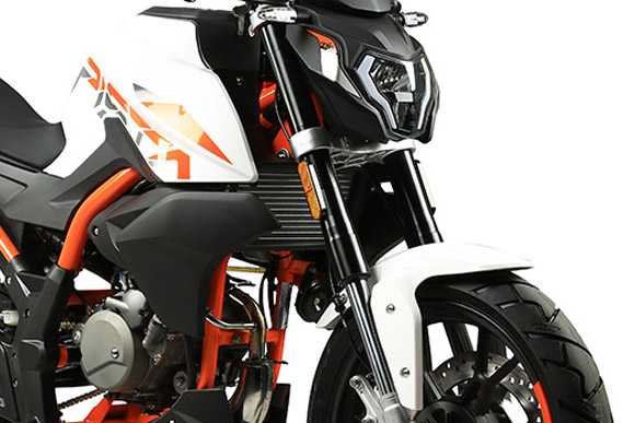 online pista 50 detail 1