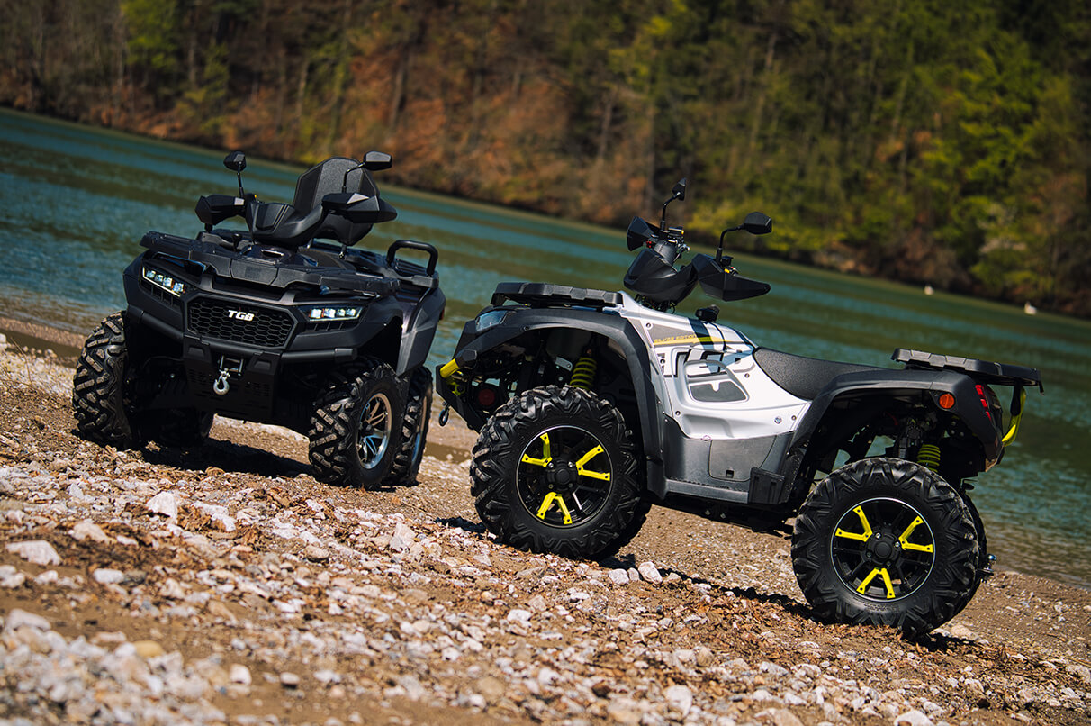 Blade 600 FL SE EPS Silver Edition 2022
