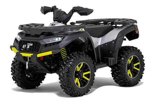 Blade 600 FL SE EPS Silver Edition 2022