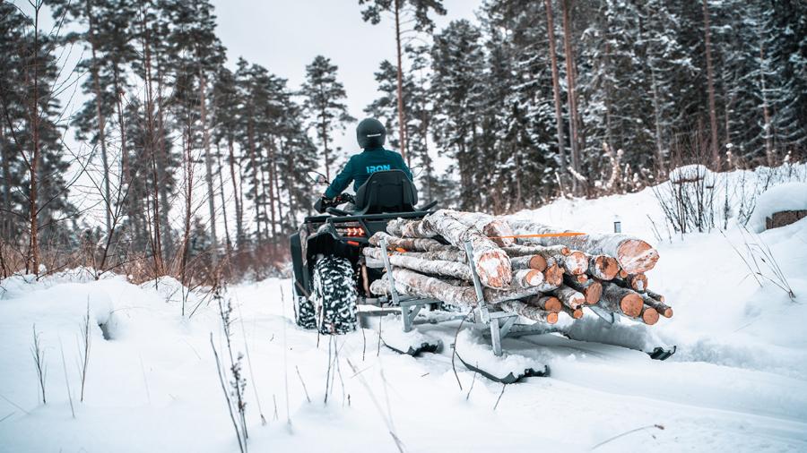 Holzschlitten Holzanhänger auf Ski