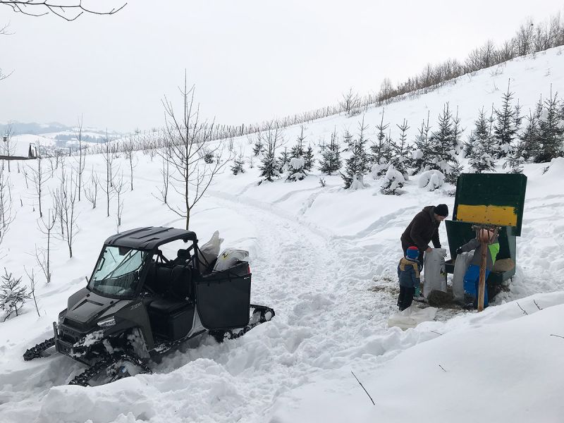 Jagd Forstwirtschaft Fütterung mit Kinder