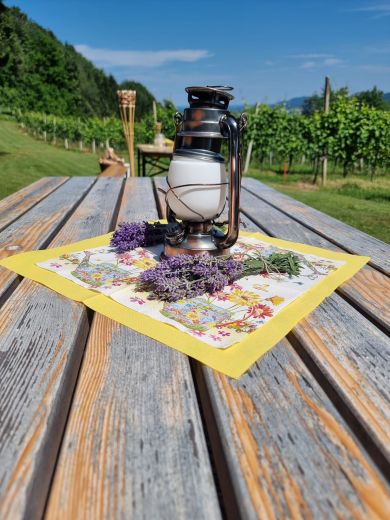 Mitarbeiter Familienwandertag 8.7.2023