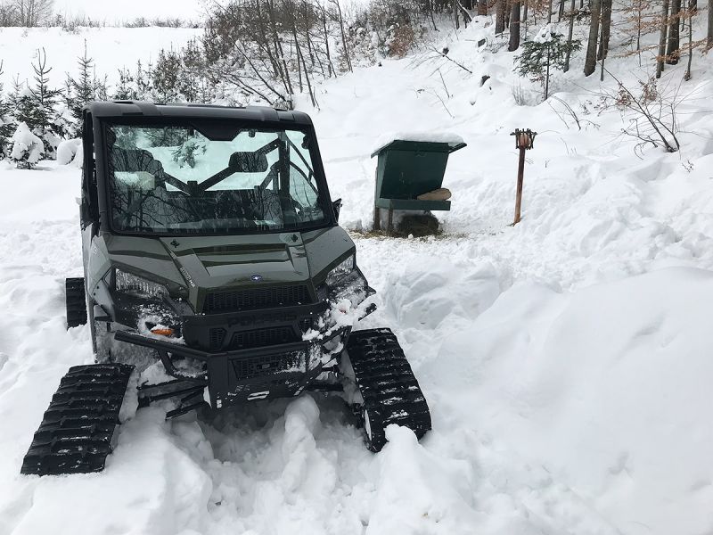Jagd Forstwirtschaft Fütterung