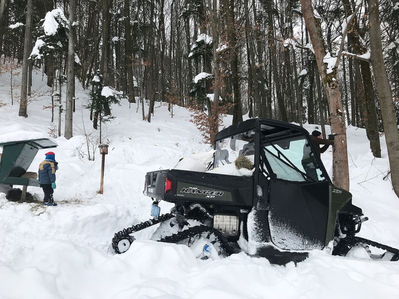 Jagd Forstwirtschaft Winter