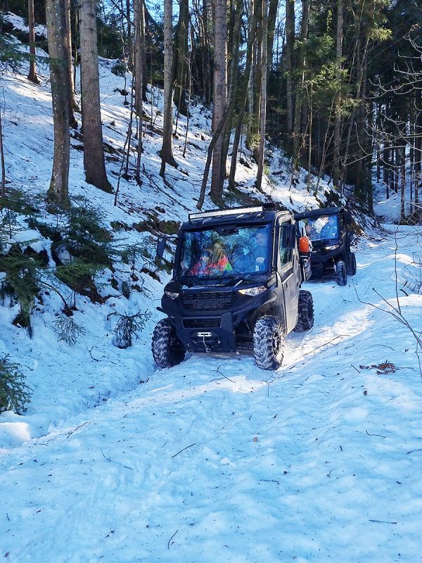 Jagd Forstwirtschaft Winter Wald