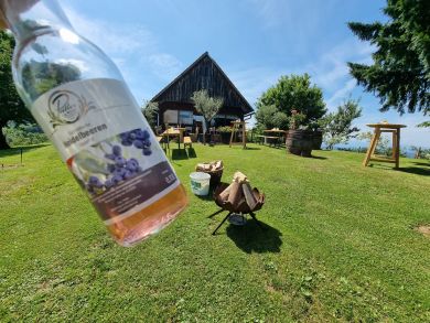 Mitarbeiter Familienwandertag 8.7.2023