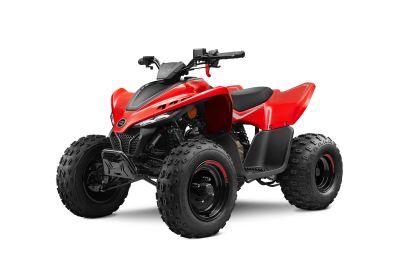 CFMOTO CFORCE 110 rot
