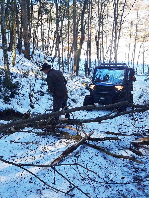 Jagd Forstwirtschaft Arbeit