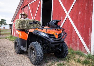 Cfmoto Cforce 450 Arbeit