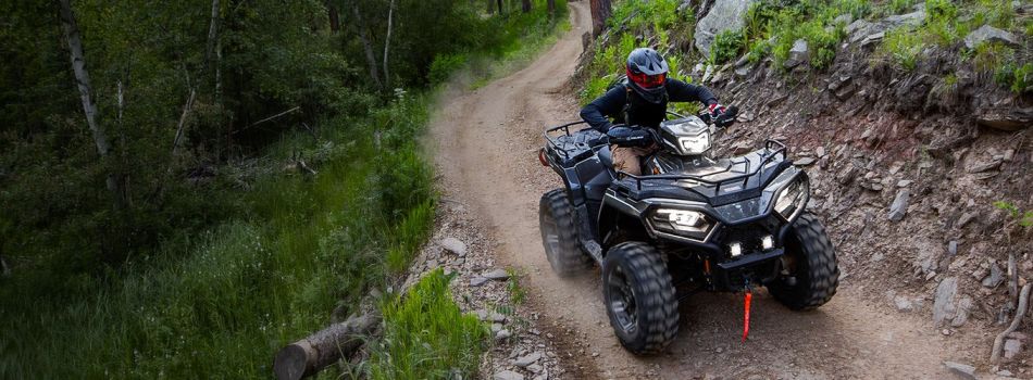 Polaris Sportsman 570 Wald