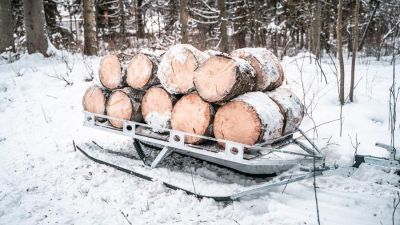 Skischlitten (Plattform-Trailer auf Ski)