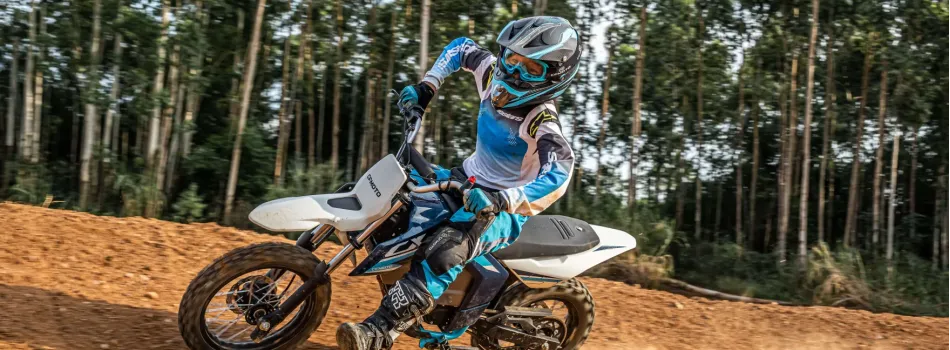 Cfmoto CX-5E 02
