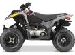 Polaris Phoenix 200 Atv Kinder Familie