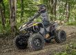 Polaris Atv Phoenix Kind