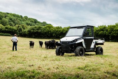 Corvus Terrain Ex 4 Schafe