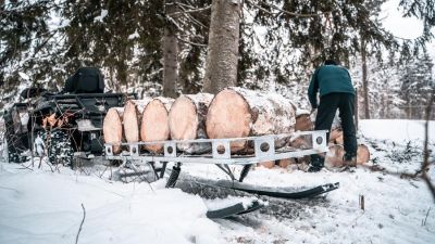 Skischlitten (Plattform-Trailer auf Ski)