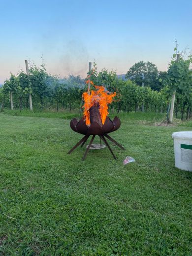 Mitarbeiter Familienwandertag 8.7.2023