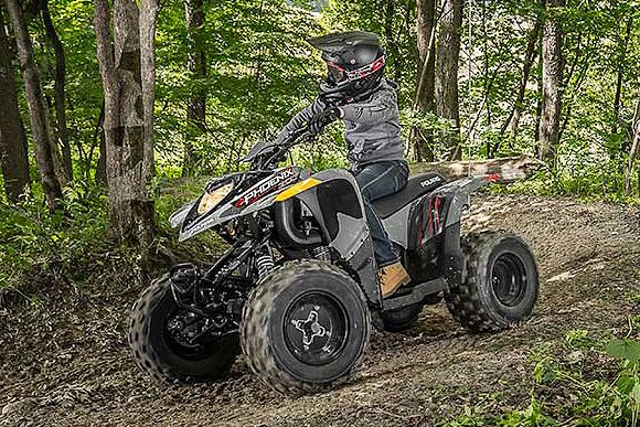 Polaris Atv Phoenix Kind